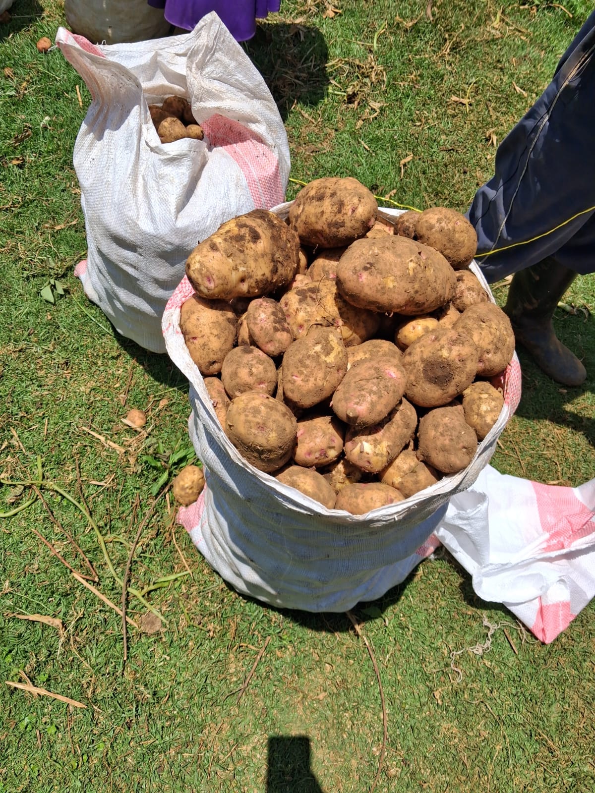 WhatsApp Image 2026 02 25 At 6.39.33 PM