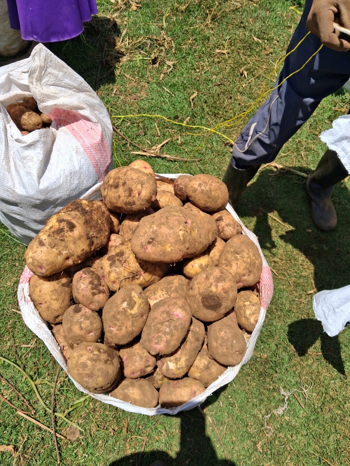 WhatsApp Image 2026 02 25 At 6.39.41 PM