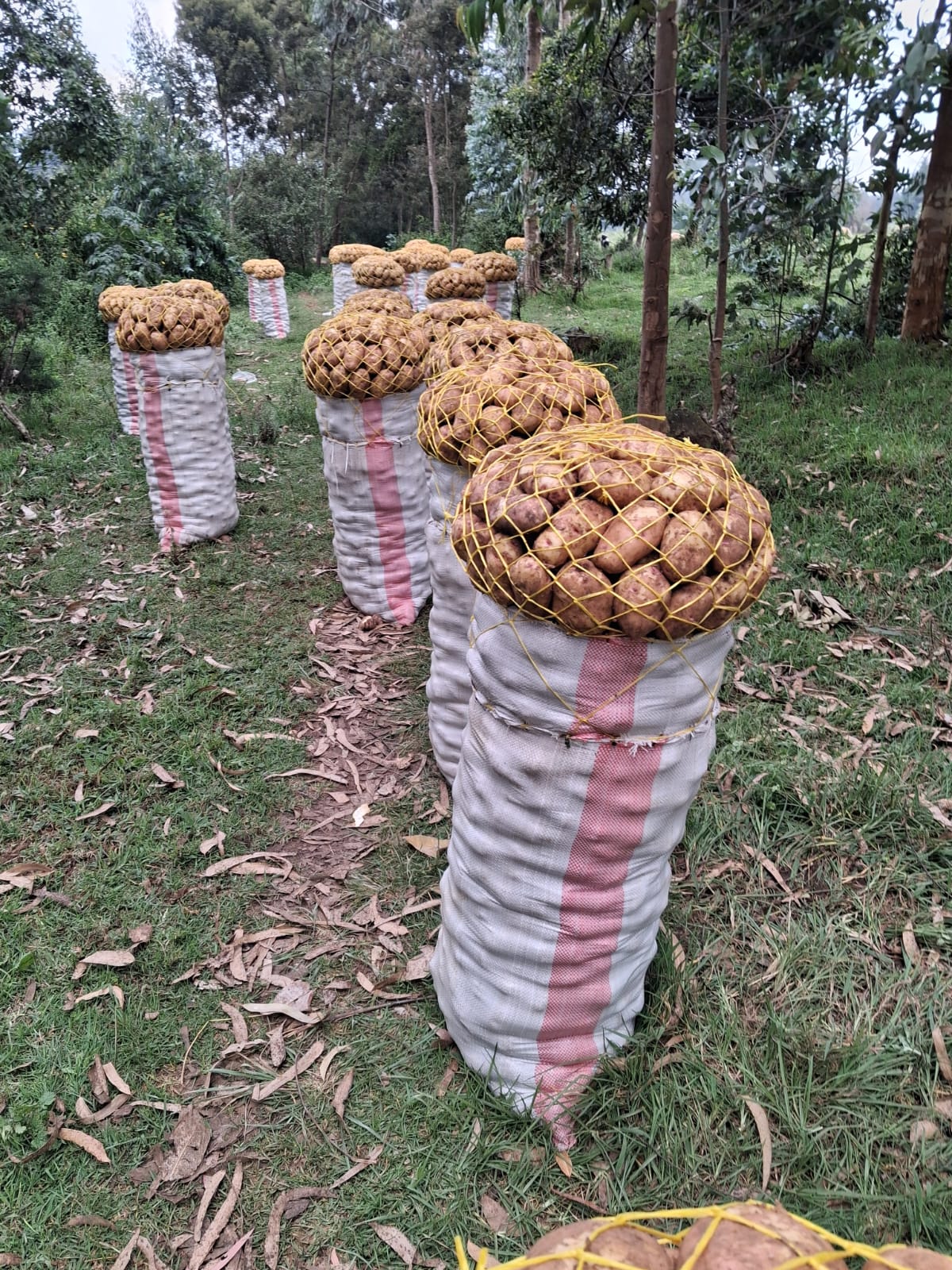 WhatsApp Image 2026 02 25 At 6.40.07 PM