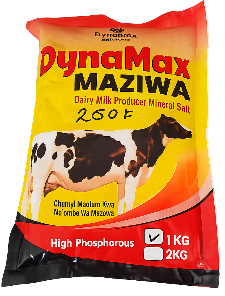 Dynamax Maziwa 5 kg